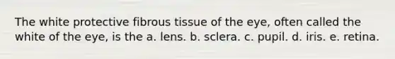 The white protective fibrous tissue of the eye, often called the white of the eye, is the a. lens. b. sclera. c. pupil. d. iris. e. retina.