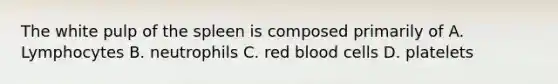 The white pulp of the spleen is composed primarily of A. Lymphocytes B. neutrophils C. red blood cells D. platelets