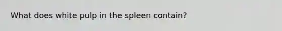 What does white pulp in the spleen contain?