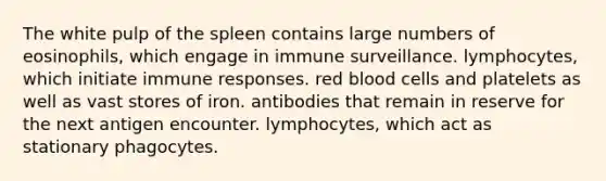 The white pulp of the spleen contains large numbers of eosinophils, which engage in immune surveillance. lymphocytes, which initiate immune responses. red blood cells and platelets as well as vast stores of iron. antibodies that remain in reserve for the next antigen encounter. lymphocytes, which act as stationary phagocytes.