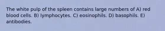 The white pulp of the spleen contains large numbers of A) red blood cells. B) lymphocytes. C) eosinophils. D) basophils. E) antibodies.