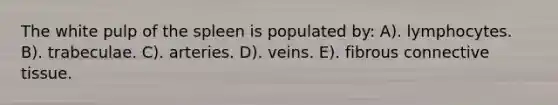 The white pulp of the spleen is populated by: A). lymphocytes. B). trabeculae. C). arteries. D). veins. E). fibrous connective tissue.