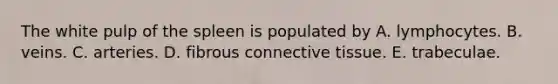 The white pulp of the spleen is populated by A. lymphocytes. B. veins. C. arteries. D. fibrous <a href='https://www.questionai.com/knowledge/kYDr0DHyc8-connective-tissue' class='anchor-knowledge'>connective tissue</a>. E. trabeculae.