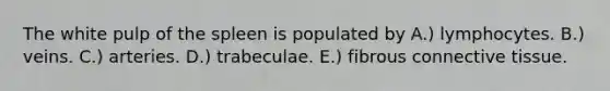 The white pulp of the spleen is populated by A.) lymphocytes. B.) veins. C.) arteries. D.) trabeculae. E.) fibrous connective tissue.