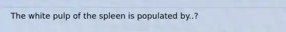 The white pulp of the spleen is populated by..?