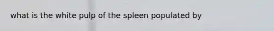 what is the white pulp of the spleen populated by