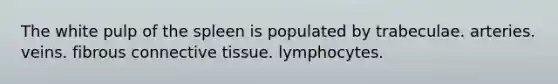 The white pulp of the spleen is populated by trabeculae. arteries. veins. fibrous connective tissue. lymphocytes.