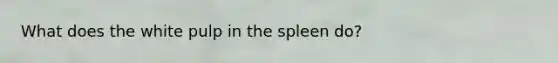 What does the white pulp in the spleen do?