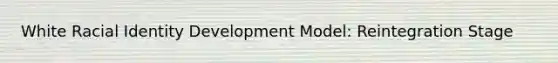 White Racial Identity Development Model: Reintegration Stage