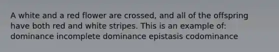 A white and a red flower are crossed, and all of the offspring have both red and white stripes. This is an example of: dominance incomplete dominance epistasis codominance