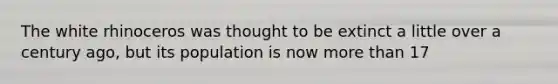 The white rhinoceros was thought to be extinct a little over a century ago, but its population is now more than 17