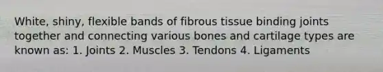 White, shiny, flexible bands of fibrous tissue binding joints together and connecting various bones and cartilage types are known as: 1. Joints 2. Muscles 3. Tendons 4. Ligaments