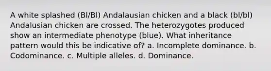 A white splashed (Bl/Bl) Andalausian chicken and a black (bl/bl) Andalusian chicken are crossed. The heterozygotes produced show an intermediate phenotype (blue). What inheritance pattern would this be indicative of? a. Incomplete dominance. b. Codominance. c. <a href='https://www.questionai.com/knowledge/kqctQuIBOY-multiple-alleles' class='anchor-knowledge'>multiple alleles</a>. d. Dominance.