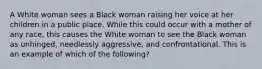 A White woman sees a Black woman raising her voice at her children in a public place. While this could occur with a mother of any race, this causes the White woman to see the Black woman as unhinged, needlessly aggressive, and confrontational. This is an example of which of the following?