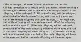 If the white-eye trait were X‑linked dominant, rather than X‑linked recessive, what result would you expect when crossing a heterozygous white‑eyed female with a white‑eyed male? A. All offspring will be red‑eyed. B. All male offspring will be red‑eyed, whereas half of the female offspring will have white eyes and half of the female offspring will have red eyes. C. For each sex, half of the offspring will have red eyes and half of the offspring will have white eyes. D. All female offspring will be red‑eyed, whereas half of the male offspring will have white eyes and half of the male offspring will have red eyes. E. All female offspring will be white-eyed, where as half of the male offspring will have white eyes and half of the male offspring will have red eyes.