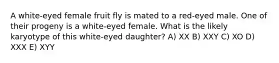 A white-eyed female fruit fly is mated to a red-eyed male. One of their progeny is a white-eyed female. What is the likely karyotype of this white-eyed daughter? A) XX B) XXY C) XO D) XXX E) XYY