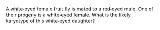 A white-eyed female fruit fly is mated to a red-eyed male. One of their progeny is a white-eyed female. What is the likely karyotype of this white-eyed daughter?