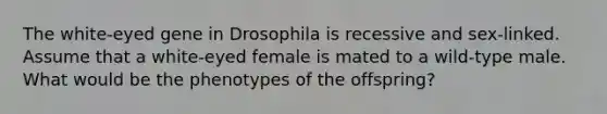 The white-eyed gene in Drosophila is recessive and sex-linked. Assume that a white-eyed female is mated to a wild-type male. What would be the phenotypes of the offspring?