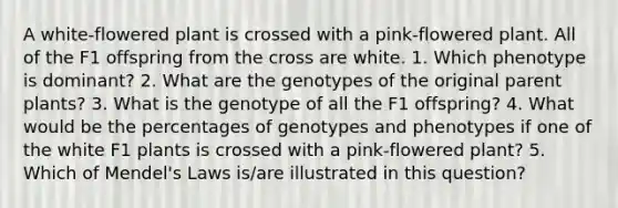 A white-flowered plant is crossed with a pink-flowered plant. All of the F1 offspring from the cross are white. 1. Which phenotype is dominant? 2. What are the genotypes of the original parent plants? 3. What is the genotype of all the F1 offspring? 4. What would be the percentages of genotypes and phenotypes if one of the white F1 plants is crossed with a pink-flowered plant? 5. Which of Mendel's Laws is/are illustrated in this question?