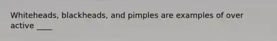 Whiteheads, blackheads, and pimples are examples of over active ____