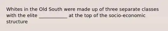 Whites in the Old South were made up of three separate classes with the elite ____________ at the top of the socio-economic structure