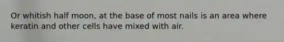 Or whitish half moon, at the base of most nails is an area where keratin and other cells have mixed with air.