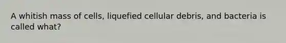 A whitish mass of cells, liquefied cellular debris, and bacteria is called what?