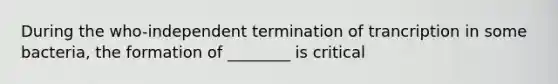 During the who-independent termination of trancription in some bacteria, the formation of ________ is critical