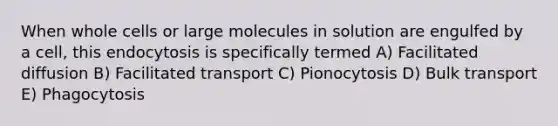 When whole cells or large molecules in solution are engulfed by a cell, this endocytosis is specifically termed A) Facilitated diffusion B) Facilitated transport C) Pionocytosis D) Bulk transport E) Phagocytosis