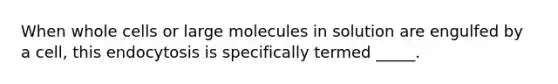 When whole cells or large molecules in solution are engulfed by a cell, this endocytosis is specifically termed _____.