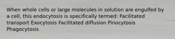 When whole cells or large molecules in solution are engulfed by a cell, this endocytosis is specifically termed: Facilitated transport Exocytosis Facilitated diffusion Pinocytosis Phagocytosis