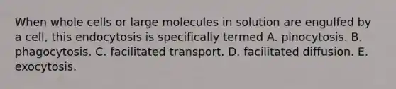 When whole cells or large molecules in solution are engulfed by a cell, this endocytosis is specifically termed A. pinocytosis. B. phagocytosis. C. facilitated transport. D. facilitated diffusion. E. exocytosis.