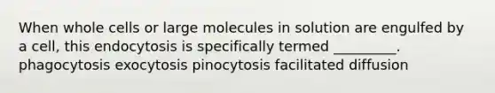 When whole cells or large molecules in solution are engulfed by a cell, this endocytosis is specifically termed _________. phagocytosis exocytosis pinocytosis facilitated diffusion