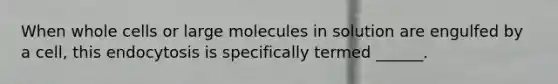 When whole cells or large molecules in solution are engulfed by a cell, this endocytosis is specifically termed ______.