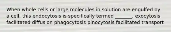 When whole cells or large molecules in solution are engulfed by a cell, this endocytosis is specifically termed _______. exocytosis facilitated diffusion phagocytosis pinocytosis facilitated transport