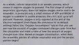 As a whole, cellular respiration is an aerobic process, which means it requires oxygen to proceed. The first stage of cellular respiration, glycolysis, does not require oxygen and is said to be anaerobic. It produces only a small amount of ATP and NADH. If oxygen is available in usable amounts, the citric acid cycle will proceed. However, oxygen is only required at the end of the electron transport chain.Reset the simulation to its default settings.Select the "Oxygen Consumption" tab so that you can see how the amount of oxygen consumed changes over time.Run the simulation and make a note of how the amount of oxygen changes over time. Based on oxygen consumption, when does the anaerobic portion of cellular respiration end and the aerobic portion begin?