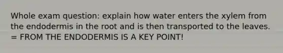 Whole exam question: explain how water enters the xylem from the endodermis in the root and is then transported to the leaves. = FROM THE ENDODERMIS IS A KEY POINT!