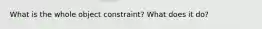 What is the whole object constraint? What does it do?