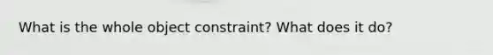 What is the whole object constraint? What does it do?