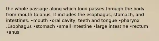 the whole passage along which food passes through the body from mouth to anus. It includes the esophagus, stomach, and intestines. •mouth •oral cavity, teeth and tongue •pharynx .Esophagus •stomach •small intestine •large intestine •rectum •anus