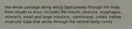 the whole passage along which food passes through the body from mouth to anus. includes the mouth, pharynx, esophagus, stomach, small and large intestine. -continuous, coiled, hollow muscular tube that winds through the ventral body cavity