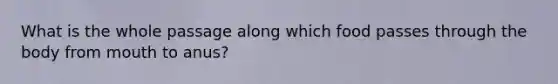What is the whole passage along which food passes through the body from mouth to anus?