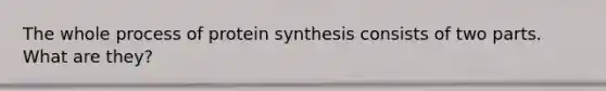 The whole process of protein synthesis consists of two parts. What are they?