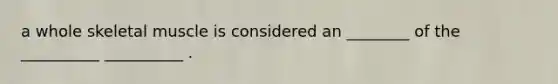 a whole skeletal muscle is considered an ________ of the __________ __________ .