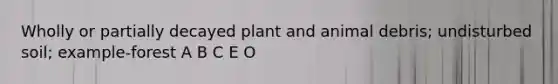Wholly or partially decayed plant and animal debris; undisturbed soil; example-forest A B C E O