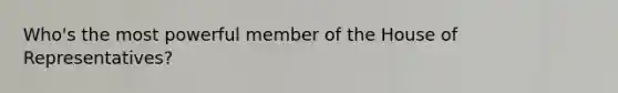 Who's the most powerful member of the House of Representatives?