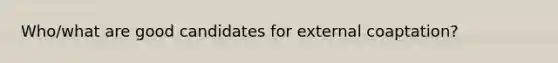 Who/what are good candidates for external coaptation?