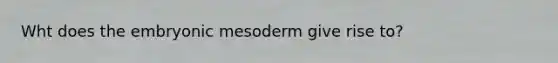 Wht does the embryonic mesoderm give rise to?