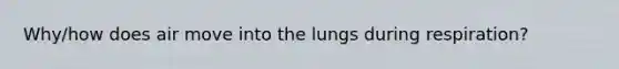 Why/how does air move into the lungs during respiration?