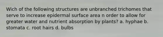 Wich of the following structures are unbranched trichomes that serve to increase epidermal surface area n order to allow for greater water and nutrient absorption by plants? a. hyphae b. stomata c. root hairs d. bulbs